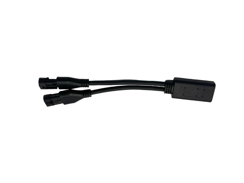 Delphi 2 Channel Tester