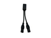 Delphi 2 Channel Test Box