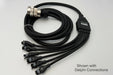 SMART Harness with Delphi Connectors